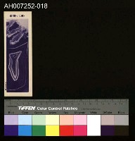 じをり型學習博物館：美しい瑪瑙藏品圖，第1張